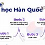 Các Ngành Nên Chọn Khi Du Học Hàn Quốc 2024