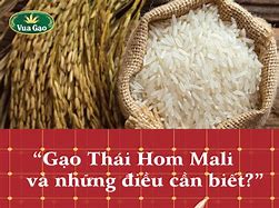 Gạo Thái Lan Hom Mali